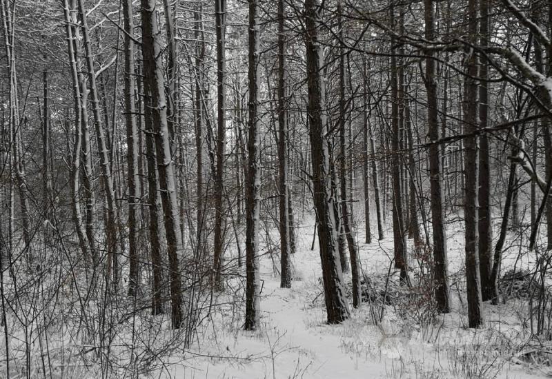 FOTO | Vodimo vas kroz snježnu idilu kraj Tomislavgrada